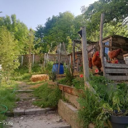 La Cabane Des Trappeurs 瓦卢瓦地区克雷皮 外观 照片